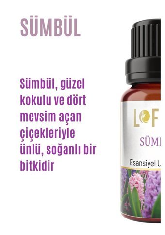 Lofty Sümbül Oda Kokusu 10 ml