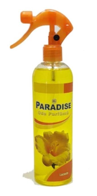 Paradise Kavun Oda Kokusu 400 ml