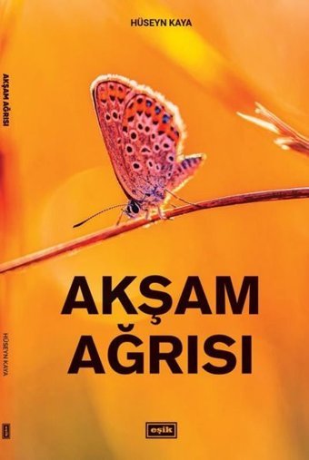 Akşam Ağrısı Hüseyin Kaya Eşik Yayınları