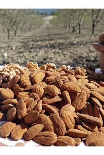 Organik Bademcim Organik Tane Çiğ Badem İçi 500 gr