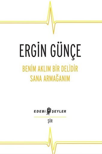 Benim Aklım Bir Delidir Sana Armağanım Ergin Günçe Edebi Şeyler