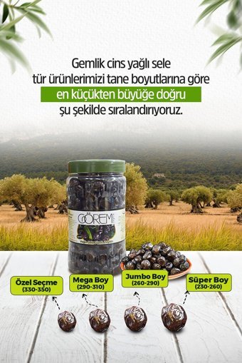 Görem Siyah Zeytin Kavanoz 1 kg