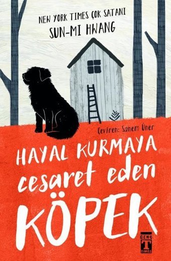 Hayal Kurmaya Cesaret Eden Köpek Sun-mi Hwang Genç Timaş