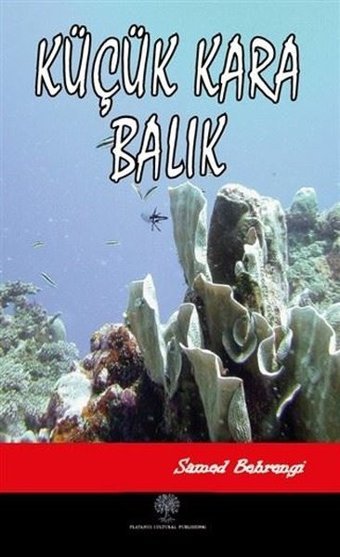 Küçük Kara Balık Samed Behrengi Platanus Publishing