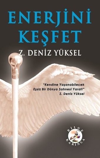 Enerjini Keşfet Z. Deniz Yüksel Bilge Karınca Yayınları