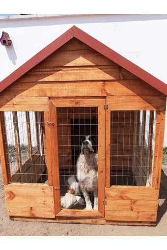 Arzu Wood AW62920 Dış Mekan Ahşap Köpek Kulubesi