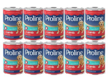 Pro Line Konserve Kuzu Yaş Köpek Maması 400 gr 10'lu