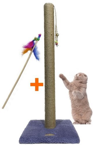 Armoni Oyuncaklı 82 cm Kedi Tırmalama Tahtası