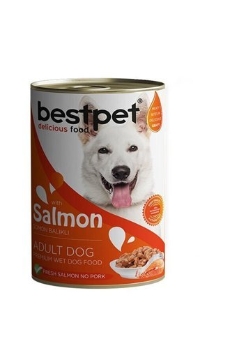 Enjoy Bestpet Somon Tüm Irklar Yetişkin Köpek Maması 400 gr