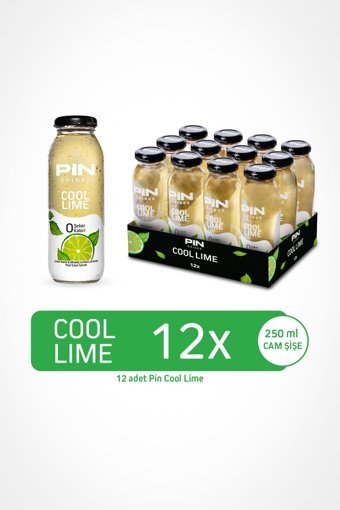 Pin Limonlu-Naneli Soğuk Çay 12x250 ml