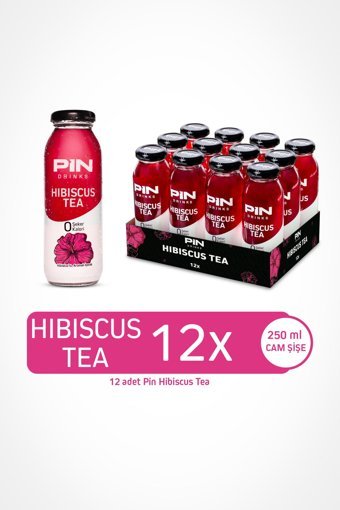 Pin Hibiscus Soğuk Çay 12x250 ml