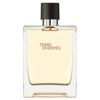 Hermes Terre Refil EDT Narenciye Erkek Parfüm 125 ml