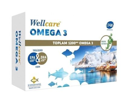 Wellcare Omega 3 Yetişkin 30 Adet