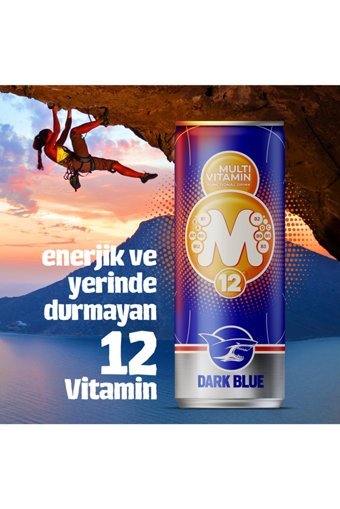 Dark Enerji İçeceği 12 Adet 250 ml