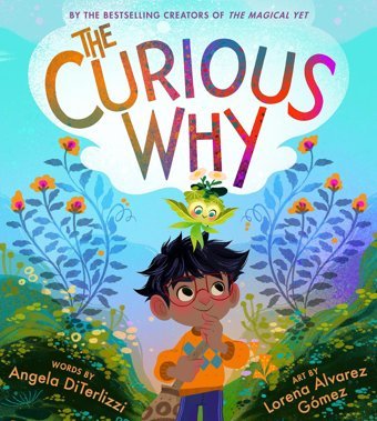 The Curious Why Diterlizzi, Angela Lıttle Brown And Company