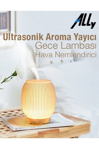 Ceypaks Premium 4.5 W 200 ml 30 dB Aromaterapi Işıklı İyonizerli Taşınabilir Şarjlı Mini Soğuk Buhar Makinesi