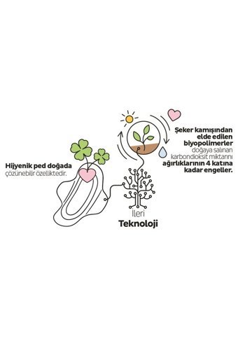 Sleepy Ecologic Organik 80'li Normal Günlük Ped