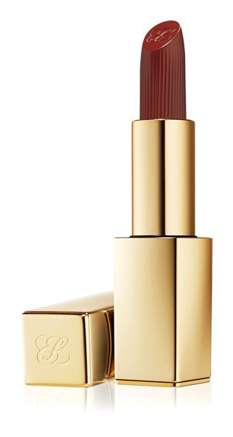 Estée Lauder Pure Color 806 No Concessions Mat Krem Lipstick Ruj