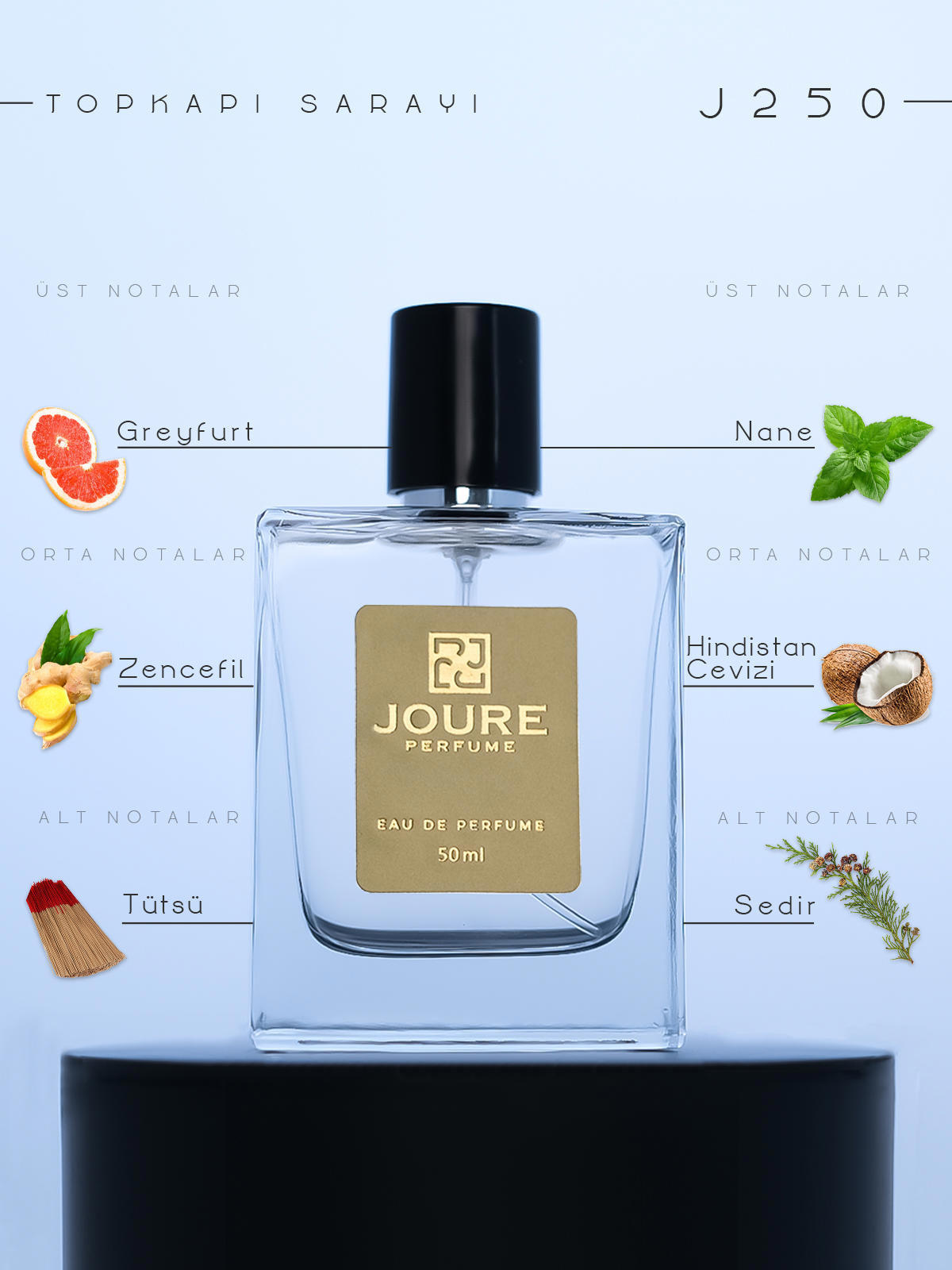 Joure Perfume J250 EDP Ferah-Odunsu Erkek Parfüm 50 ml