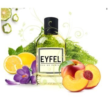 Eyfel U19 Çiçeksi-Meyveli Erkek Parfüm 50 ml