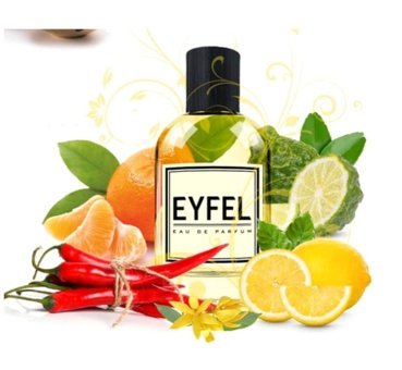 Eyfel U10 Ferah-Oryantal Erkek Parfüm 100 ml