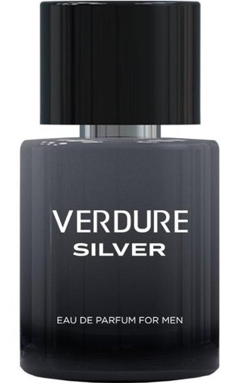 Verdure Silver EDT Sandal-Vetiver Erkek Parfüm 100 ml