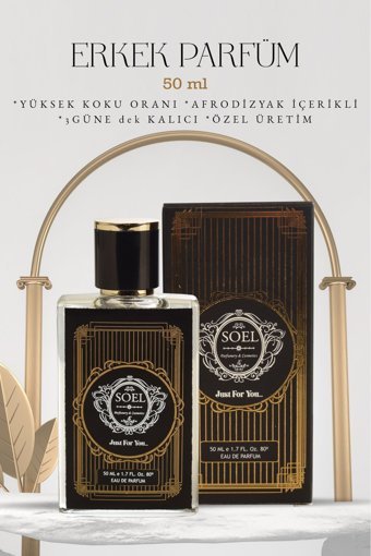 Soel E48 EDP Meyveli-Odunsu Erkek Parfüm 50 ml