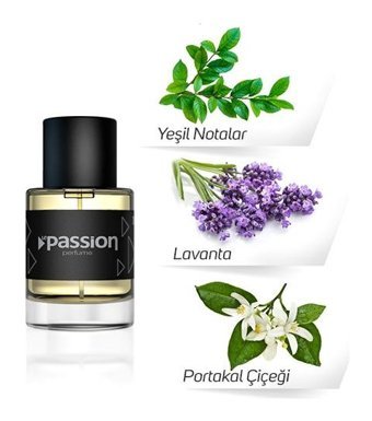 Le Passion EG11 Lavanta-Narenciye Erkek Parfüm 55 ml