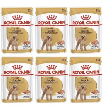 Royal Canin Poodle Caniche Tüy Sağlığı Destekleyici Kuzu Etli Parça Etli Yetişkin Köpek Maması 6 x 85 gr 6'lı