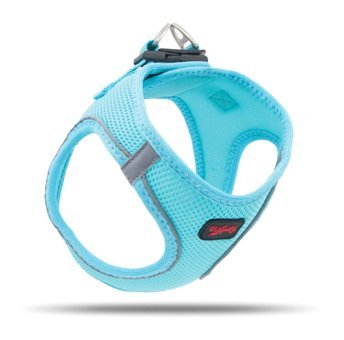 Tailpetz Air-Mesh 3XS Göğüs Tasması Gezdirme Köpek Tasması Turkuaz