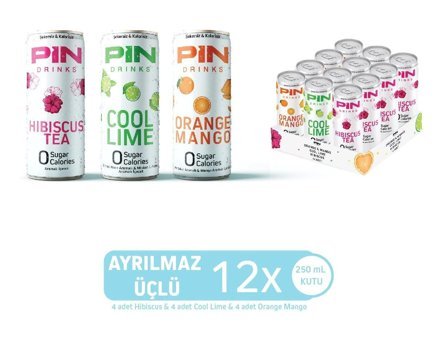 Pin Ayrılmaz Üçlü - Hibiskus & Cool Lime & Orange Mango - Şekersiz & Kalorisiz 250 ml X 12 Adet