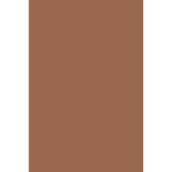 Flormar D08 Golden Brown Toz Işıltılı Far Paleti