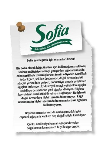 Sofia 2 Katlı 2x12'li Rulo Kağıt Havlu