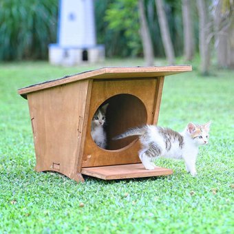 Mandu Dikdörtgen Tek Katlı Dış Mekan Ahşap Kedi Evi Kahverengi