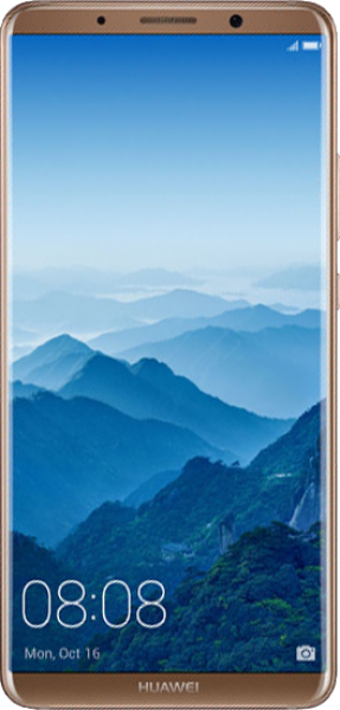 Huawei Mate 10 Pro 128 Gb Hafıza 6 Gb Ram 6.0 İnç 12 MP Çift Hatlı Oled Ekran Android Akıllı Cep Telefonu Gold