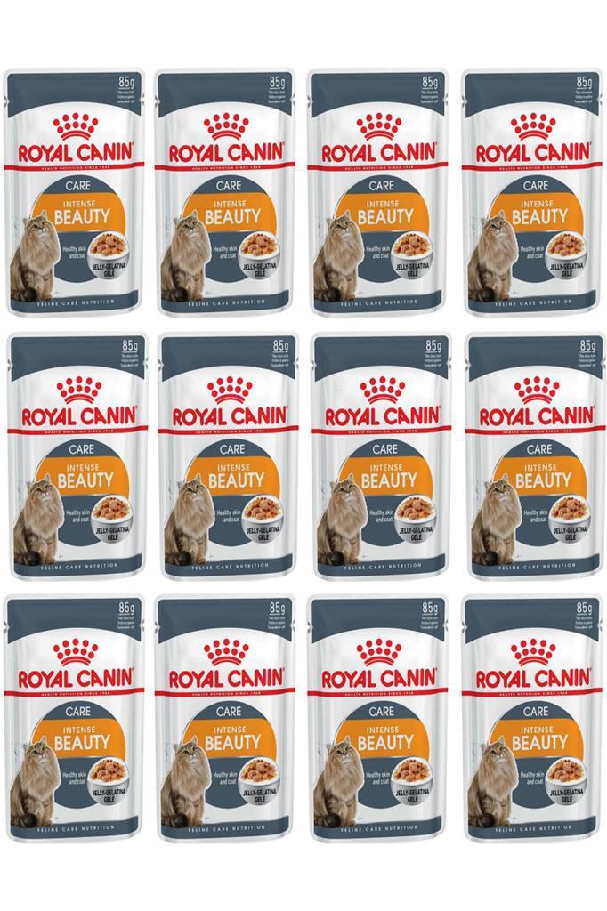 Royal Canin Intense Beauty Etli Yetişkin Yaş Kedi Maması 12x85 gr