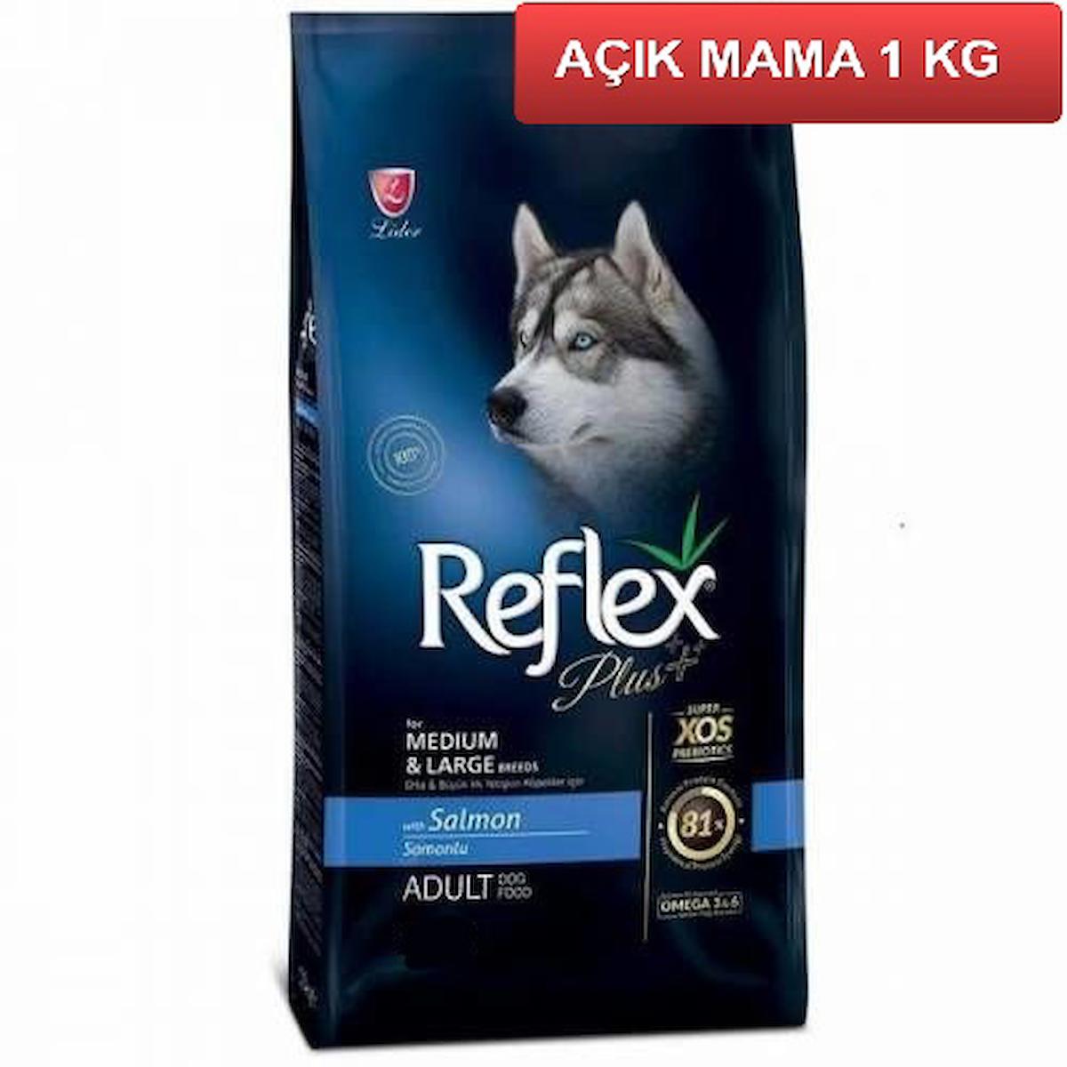 Reflex Plus+ Somonlu Orta Irk Yetişkin Kuru Köpek Maması 1 kg