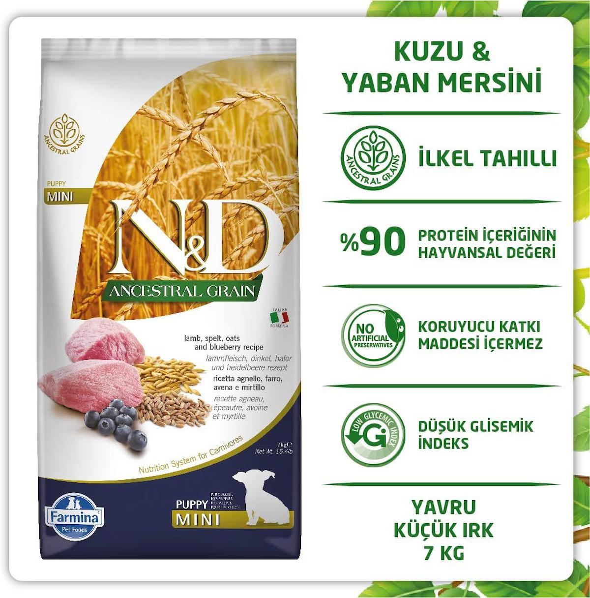 N&D Ancestral Grain Kuzu Etli ve Yaban Mersinli Mini Irk Yavru Kuru Köpek Maması 7 kg