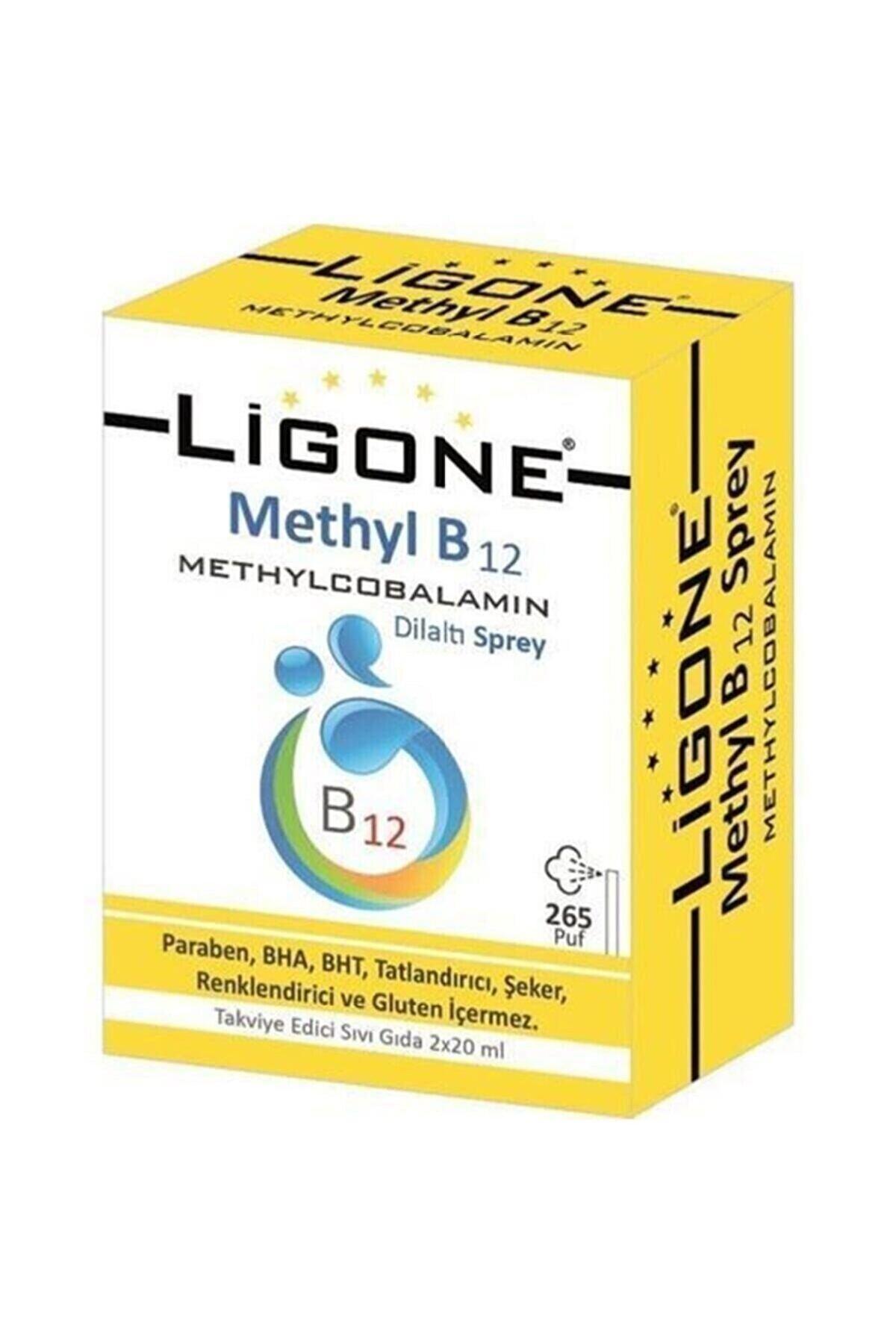 Ligone B12 Sade Unisex Vitamin 40 ml