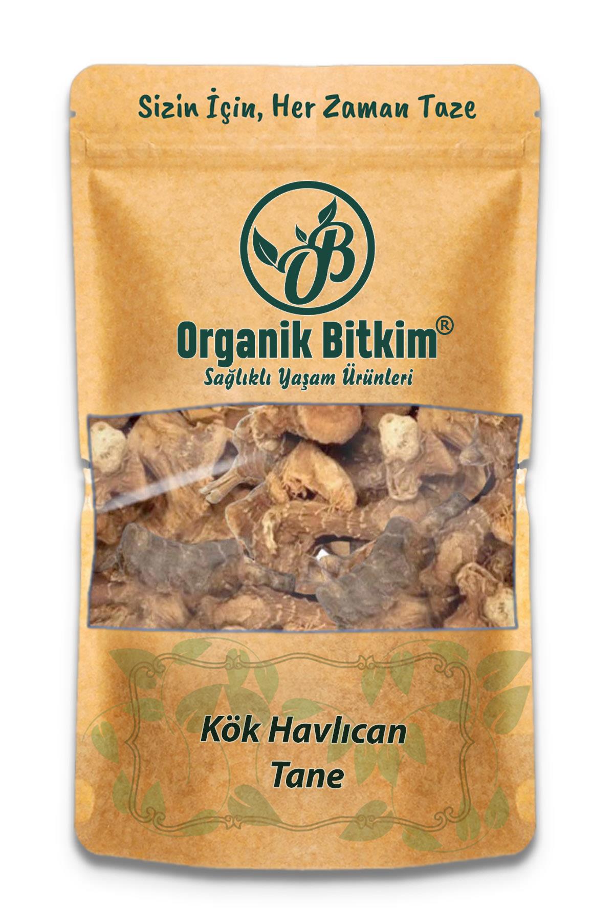 Organik Bitkim Glutensiz Havlucan Kökü Tane 150 gr