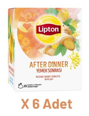 Lipton Nane - Rezene - Zencefil Bitki Çayı 6 x 15 adet