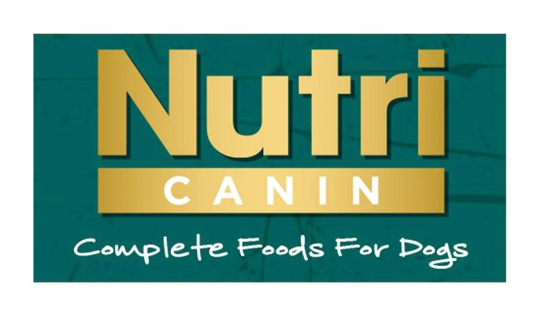 Nutri Canin Kuzu Etli Yaş Köpek Maması 400 gr 4'lü