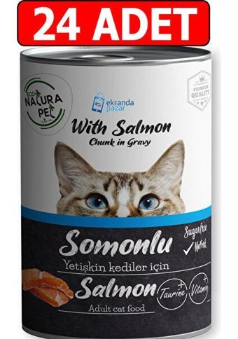 Eco Natura Pet Premium Quality Somonlu Yetişkin Yaş Kedi Maması 24x400 gr