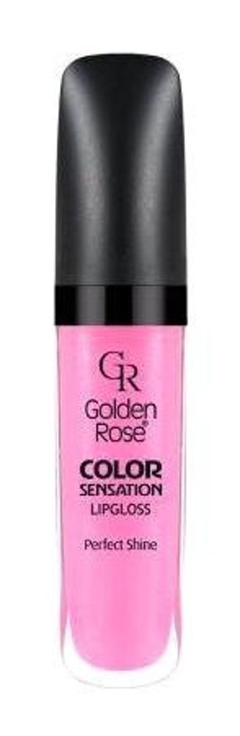 Golden Rose Color Sensation 109 Dudak Parlatıcısı Pembe