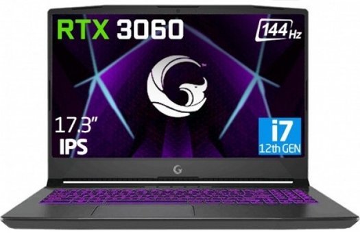 Game Garaj Slayer2 7XL-3060 C2 Harici GeForce RTX 3060 Ekran Kartlı Intel Core i7 12700H 32 GB DDR4 1 TB SSD 17.3 inç FreeDOS Gaming Laptop